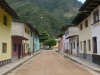 Vitoc